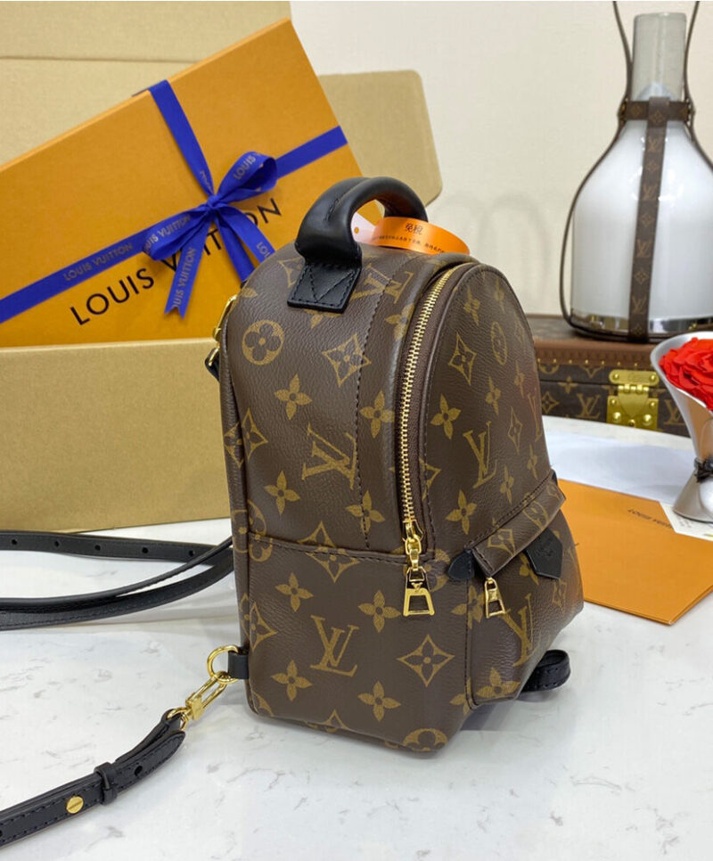 Louis Vuitton Palm Springs Mini M44873 Brown